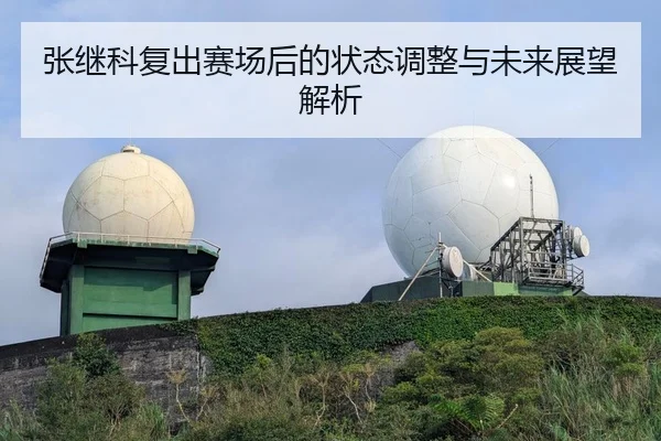 张继科复出赛场后的状态调整与未来展望解析